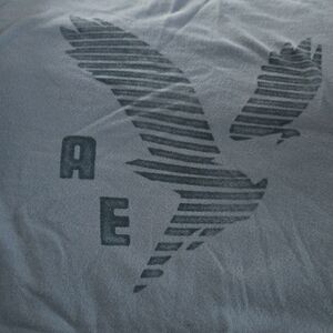 American Eagle Outfitters Charcoal Gray Striped Eagle Soft T Shirt